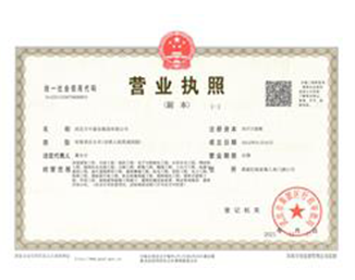 萬中建設集團營業執照副本